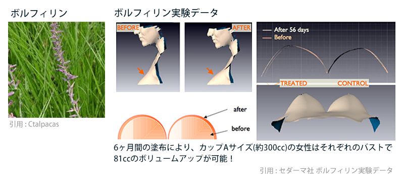 研究結果